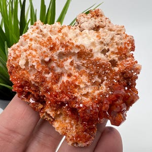 Red Vanadinite on Matrix from Morocco,Crystal, Mineral,Specimen,Cluster,Vanadinite Crystal, Vanadinite ,Geology,Vanadinite Cluster,Vanadinit