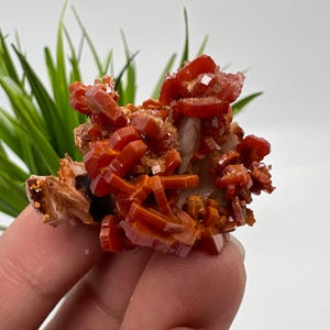 Red Vanadinite on Matrix from Morocco,Crystal, Mineral,Specimen,Cluster,Vanadinite Crystal, Vanadinite ,Geology,Vanadinite Cluster,Vanadinit