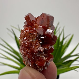 Rode vanadiniet op BARITE uit Marokko, kristal, mineraal, monster, cluster, vanadinietkristal, vanadiniet, geologie, vanadinietcluster, vanadiniet