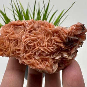 Very nice Baryte with Cerussite from Morocco,Crystal, Mineral,Specimen,Cluster, Crystals,Barite Crystal,Cerussite,Cerussite Crystal,Specimen
