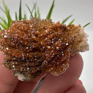Red Vanadinite on BARITE from Morocco,Crystal, Mineral,Specimen,Cluster,Vanadinite Crystal, Vanadinite ,Geology,Vanadinite Cluster,Vanadinit
