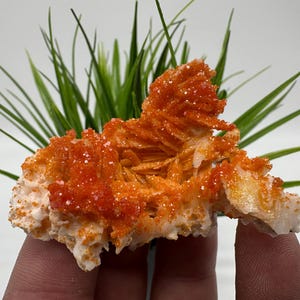 Red Vanadinite on BARITE from Morocco,Crystal, Mineral,Specimen,Cluster,Vanadinite Crystal, Vanadinite ,Geology,Vanadinite Cluster,Vanadinit