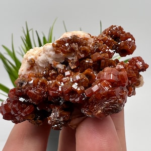 Red Vanadinite on BARITE from Morocco,Crystal, Mineral,Specimen,Cluster,Vanadinite Crystal, Vanadinite ,Geology,Vanadinite Cluster,Vanadinit
