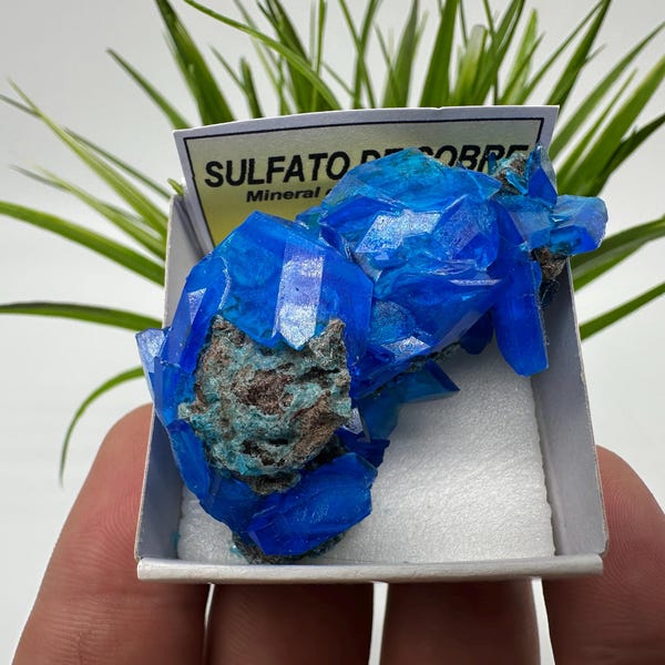 ERSTAUNLICHER Chalcanthit auf Matrix, Mineral, Kristall, blauer Chalcanthit, Großer Chalcanthit auf Matrix, Wohnkultur, blauer Kristall,