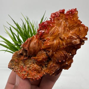 Red Vanadinite on BARITE from Morocco,Crystal, Mineral,Specimen,Cluster,Vanadinite Crystal, Vanadinite ,Geology,Vanadinite Cluster,Vanadinit