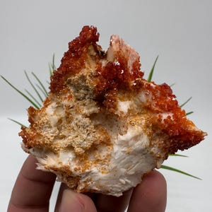 Red Vanadinite on Matrix from Morocco,Crystal, Mineral,Specimen,Cluster,Vanadinite Crystal, Vanadinite ,Geology,Vanadinite Cluster,Vanadinit