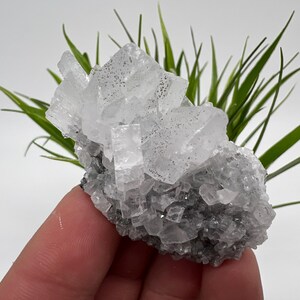 Peut inclure: Un amas de minéraux cristallins transparents, d'apparence tachetée, peut-être une géode ou une formation cristalline. La formation minérale est placée sur un fond de feuillage vert ressemblant à de l'herbe, créant une esthétique naturelle.