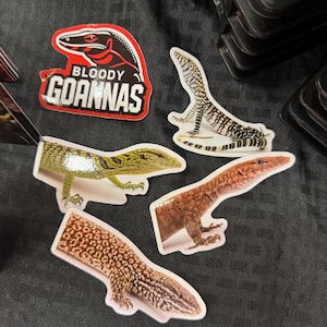 Monitorhagedisstickers