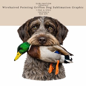 Könnte beinhalten: Grafik eines Draht-Haarigen Vorstehhundes mit einer Ente im Maul. Die Ente hat einen grünen Kopf, einen braunen Körper und orangefarbene Füße. Der Text "Wirehaired Pointing Griffon Dog Sublimation Graphic" und "33x33cm" ist enthalten.