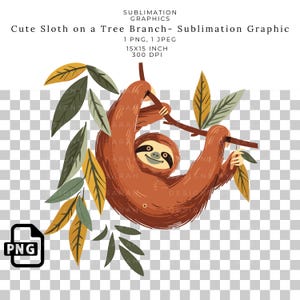 Lindo perezoso en una rama de árbol PNG gráfico, diseño de sublimación de animales de la jungla, adorable perezoso clipart para camisetas, tazas, transferencias DTF, manualidades.