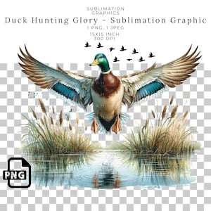 Majestic Mallard Duck Hunting Sublimation PNG Graphic for Outdoorsmen - Waterfowl Nature Scene for DTF Transfers, Shirts, Mugs, and Decor.