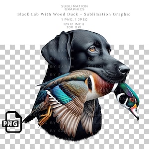 Black Labrador Retriever Sublimation Graphic with Wood Duck - Lab Hunting Dog PNG for Outdoorsman Gifts, K9 Waterfowl Hunting  Art Print.