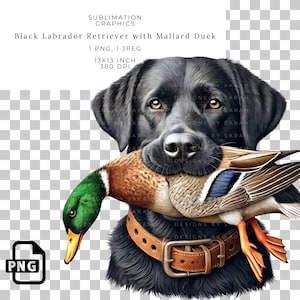 Black Labrador Retriever Sublimation Graphic with Mallard Duck - Lab Hunting Dog PNG for Outdoorsman Gifts, Waterfowl Hunting Art Print.