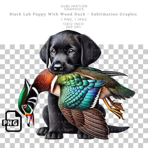 Black Labrador Puppy Retriever Sublimation Graphic with Wood Duck - Lab Hunting Dog Pup PNG for Outdoorsman Gifts, Waterfowl Hunting Design.