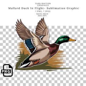 Pato-real em voo caçando sublimação PNG gráfico, clipart de aves aquáticas para camisetas, canecas, transferências DTF, design esportivo ao ar livre.