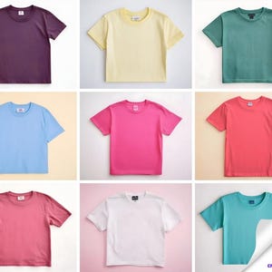 37+ Komfortfarben C1717 Komfortfarben | Bequeme Farben Übergroße Komfortfarben Mockup | Trendy Neutral Flat Lay 18 Farben enthalten