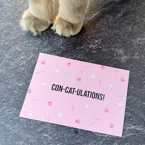 Postkarte „CON-CAT-ULATIONS!“ | Geburtstagskarte, Grußkarte, Gratulation, Geschenkidee, Geschenk, Cats, Karte mit  Spruch, Catmom, Katze