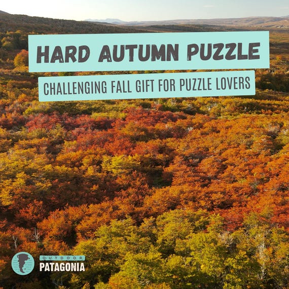 Challenging Autumn Forest Puzzle | Stunning Lenga Tree Design | 110, 252, 520, 1014 Pieces | Perfect Fall Gift for Puzzle Enthusiasts