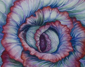 Spiral Cabbage original watercolor painting