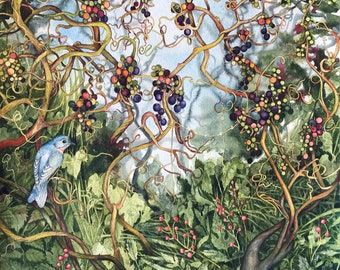 Wild Grapes, Bane Berries and Birds limited edition giclee