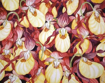 Yellow Lady Slippers an origial watercolor painting