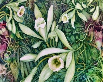 Vanilla Orchid and Melipona Bee a limited edition giclee print of an original watercolor