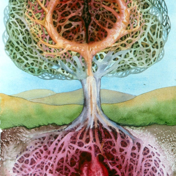 Tree of Life an original watercolor