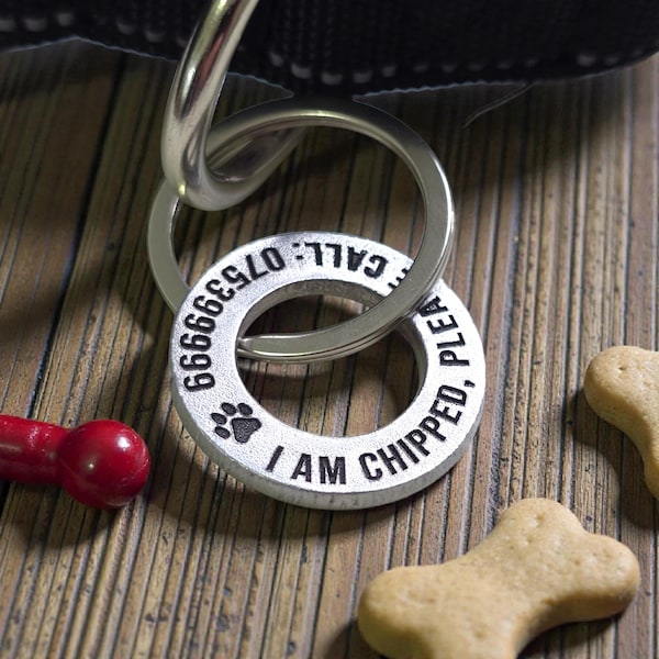 Custom Engraved Brass or Stainless Steel Pet ID Tag – Solid Metal, Deep Engraving