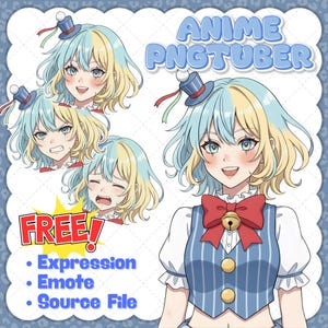 VTuber Character Design | Anime PNGTuber Avatar | Custom Chibi Model Commission | Commercial Use License | Streaming for Twitch