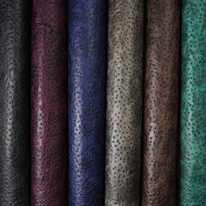 May include: Six vertical rolls of textured material featuring a distinct ostrich skin pattern. The colors displayed from left to right are black, deep purple, royal blue, slate gray, dark brown, and vibrant teal, each with a consistent dotted surface.