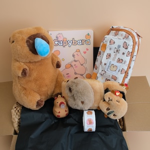 Capybara gift set - 7 in one - Capybara Plush Doll, notebook, keychain, pencil case, hair claw, stickers, new year new me gift