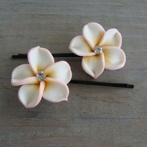 May include: Two white and pink flower hair clips with a rhinestone in the center of each flower.