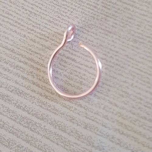 Pink Rose Gold Fake Nose Ring 2 Pieces 22 Gauge Nose Ring Etsy