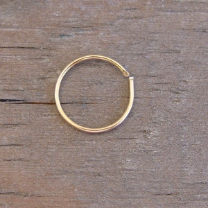 May include: A gold nose ring with a seamless hoop design.