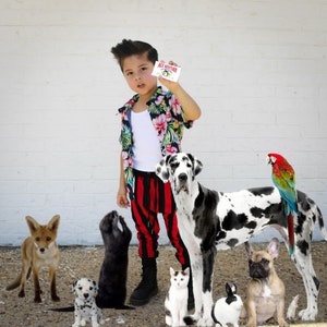 Kid's Ace Ventura Costume, Red and Black Vertical Striped Jogger Pants and Shirt: Toddler Ace Ventura, Easy funny baby halloween costumes