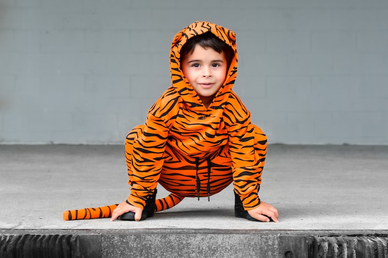 May include: A young child wearing an orange and black tiger costume with a hood. The child is crouching on a gray concrete surface.
