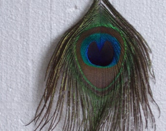 Peacock Feather Necklace and Earrings Set