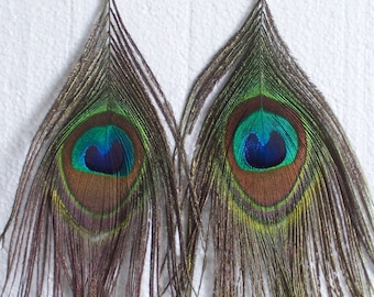 Peacock Feather Earrings - Lush, Long Length