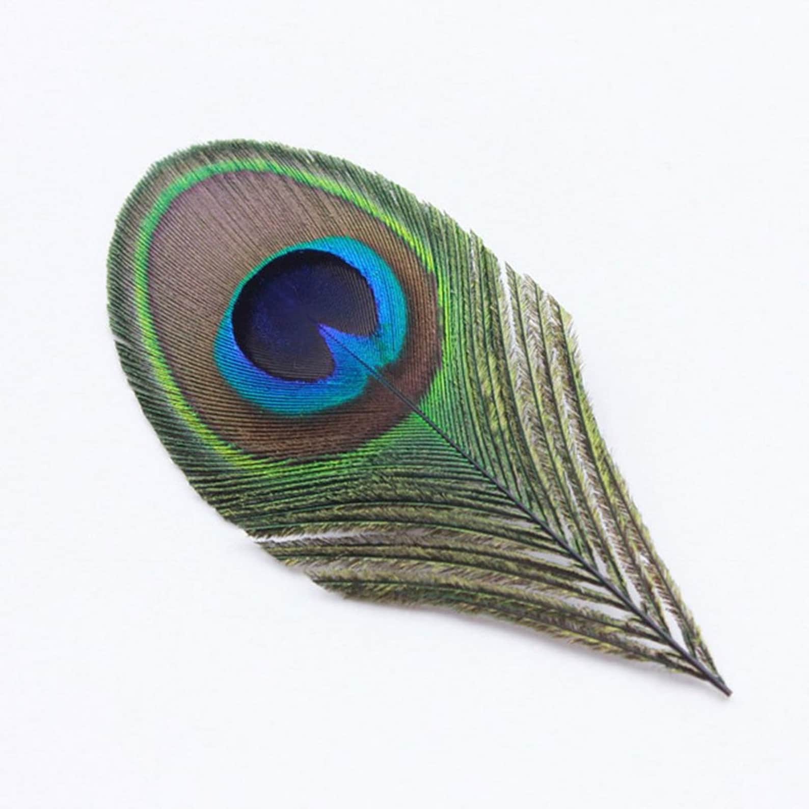 Hends глазковые перья павлина Peacock Eyes natural coloured 30 cm natural Yellow coloured [Pea-06]
