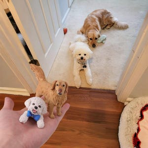 Pet Cake Topper, Cat Cake Topper, dog Wedding Cake Topper, Pets Birthday, Personalized Custom Pets