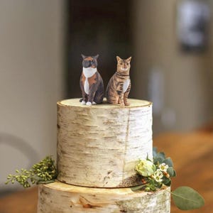 Personalized Cat Cake Toppers, Handmade Custom Pet Cat clay Statue, Dog Wedding Cake Topper, Pet Birthday, Dog Wedding Cake Decoration