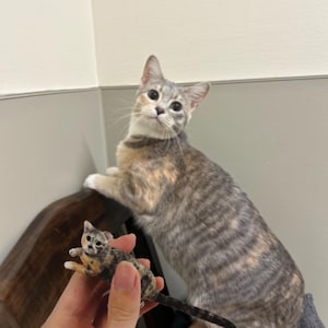 Personalized Custom Cat Wedding Cake Topper, Pet Cake Topper, Pets Birthday, Cat Cake Topper, Anniversary Pet, Cat Figurines, Cats Birthday