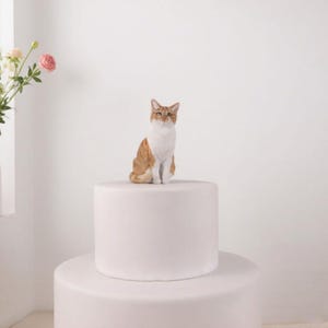 Personalized Custom Pet Cat Wedding Cake Topper, Pet Birthday, Cat Cake Topper, Anniversary Pet, pet Decoration, cake toppers
