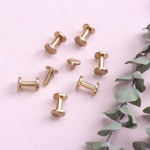 5 pezzi Viti in pelle Chicago, Rivetti a vite in ottone, Rivetti a vite, Rivetti a vite Nero Argento Oro