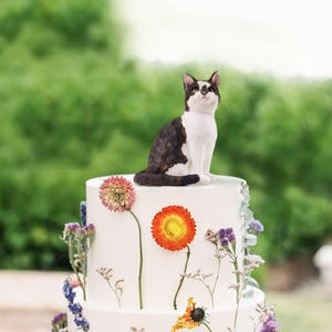 Personalized Cat Cake Toppers, Personalized Custom Dog Wedding Cake Topper, Pet Cake Topper, Pets Birthday, Cat Cake Topper, Anniversary Pet