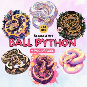 Beautiful Ball Python Art Design Digital Download, Snake PNG, 300 DPI, Commercial Use Illustrations, Digital Design, Reptile Art