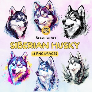 Siberian Husky Art Design Digital Download, Dog PNG, 300 DPI, Commercial Use Illustrations, Digital Design, Dog Clip Art, Animal Art