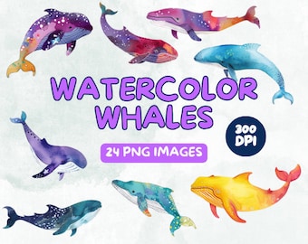 Aquarell Wale Clipart Bundle - Wal PNG - Wal Illustration - Bunter Wal - Kommerzielle Nutzung Illustrationen - Digitales Design - Clip Art
