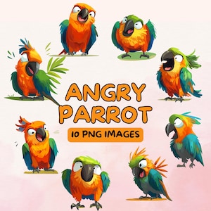 Paquete de imágenes prediseñadas de loro enojado - Loro PNG - Loro de dibujos animados - Imágenes prediseñadas de aves - Ilustraciones para uso comercial - Diseño digital - Imágenes prediseñadas