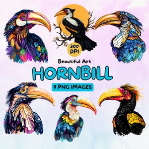 Mooie neushoornvogel Art Design digitale download, vogel PNG, 300 DPI, illustraties voor commercieel gebruik, digitaal ontwerp, vogelillustraties, dierenkunst